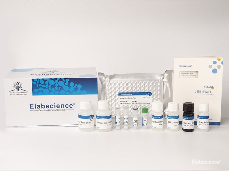 HS Rat IL-1β(Interleukin 1 Beta) ELISA Kit