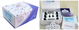 ELISA Kit for Beta-Crosslaps (bCTx)