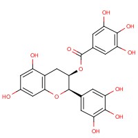 EPIGALLOCATECHIN GALLATE 분자구조식