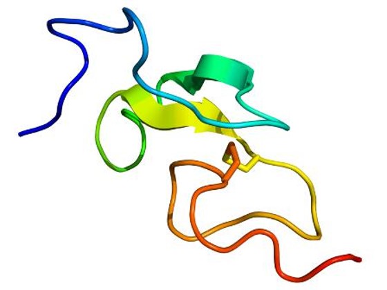 Human Epidermal Growth Factor, Recombinant