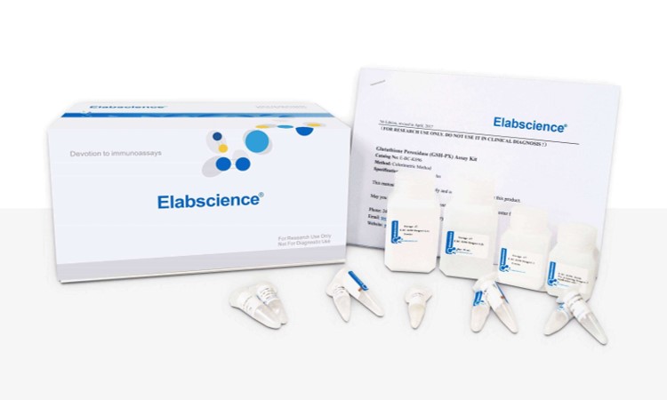 Catalase (CAT) Activity Fluorometric Assay Kit