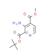 methyl 2-(tert-butoxycarbonyl)isonicotinate의 분자구조식