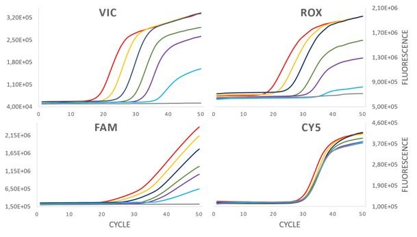 5X qPCR Multiplex MasterMix