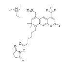 AF 430 NHS ester의 분자구조식