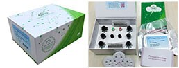 ELISA Kit for Chromogranin B (CHGB)