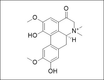 Natural Products의 4-Keto-laurifoline 분자구조식