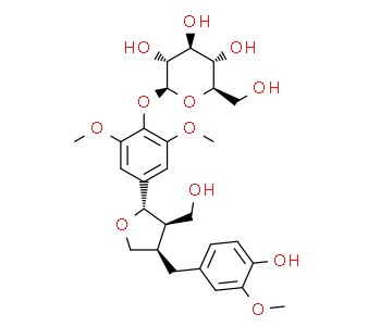 Conicaoside의 분자구조식