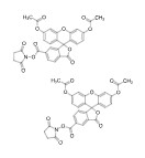 (5,6)-FAM diacetate NHS ester의 분자구조식