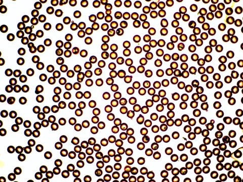 Soda Lime Solid Glass Microspheres 2.5g/cc - Bondline Spacer / Calibration Reference - 10um to 520um