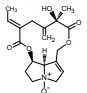 Spartioidine N-oxide의 분자구조식