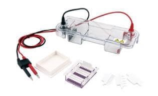 CreGen™ Horizontal Electrophoresis CG-SPAT