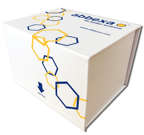 Total Cholesterol Assay Kit