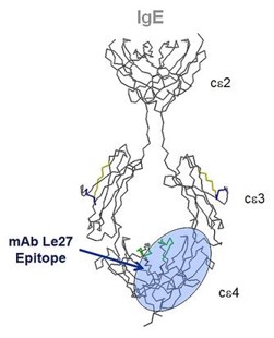 Anti-human IgE Monoclonal Antibody (Le27)