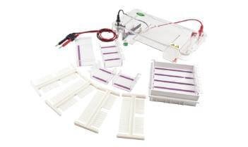 CreGen™ Horizontal Electrophoresis CG-SPCT