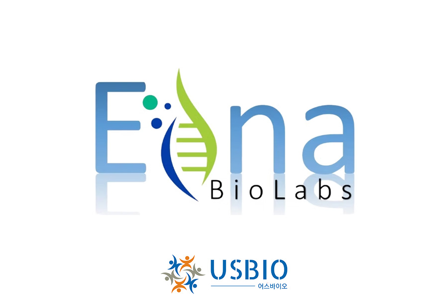 [Edna Biolabs] Modified Trypsin, Lyophilized