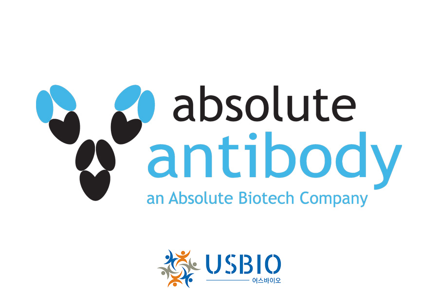 [Absolute Antibody] Polyclonal Antibody Sequencing