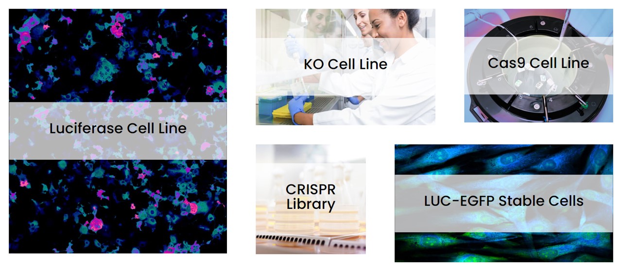 Vitro biotech를 대표하는 이미지