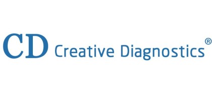 Hantaan Virus Nucleocapsid (N) Protein