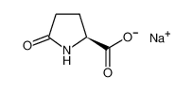 Sodium L-pyroglutamate