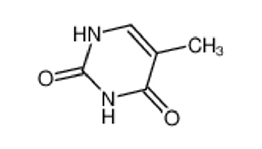 thymine | 65-71-4