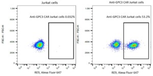 Anti-GPC3 CAR Idiotype Antibody (Clone RE9), Alexa Fluor 647 (25 tests)