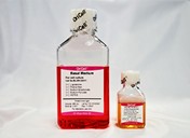 cyagen biosciences 한국공식대리점