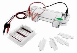 CreGen™ Horizontal Electrophoresis CG-SPBT