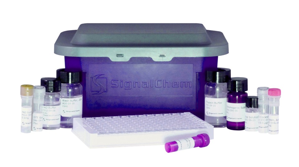 HLVd Cannabis qPCR Detection Kit