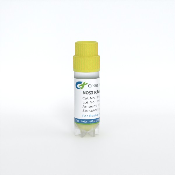 [Creative Biogene 한국공식대리점] Gene Knockout Stable Cell Lines