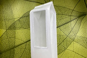 PBS 3D.65 Pollination Bag