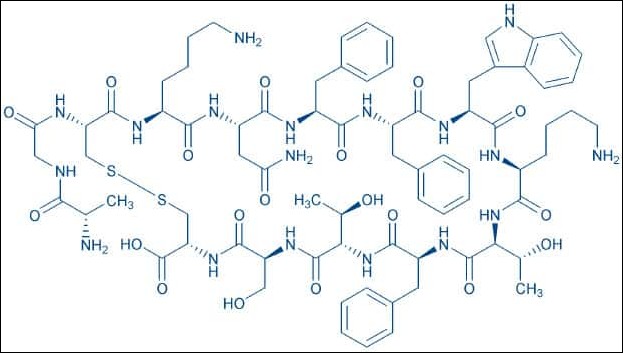 bachem 한국공식대리점
