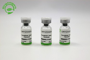 OsrhFN | Recombinant Human Fibronectin