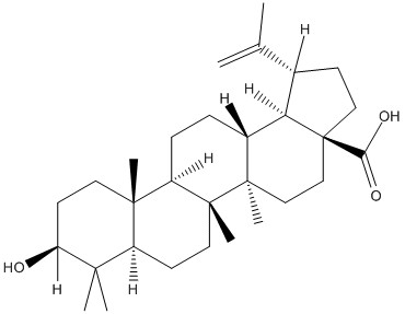 [Aktin Chemicals 한국공식대리점] Betulinic acid, Cepharanthine 제품소개