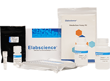 Elabscience의 Metabolism Assays Kit