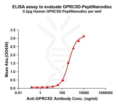 Human GPRC5D full length protein-PeptiNanodisc