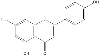 Aktin Chemicals 한국공식대리점