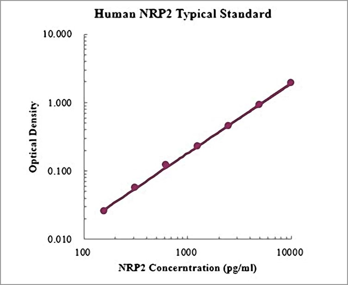 Neuropilin-2 / NRP2 ELISA Kit, Human