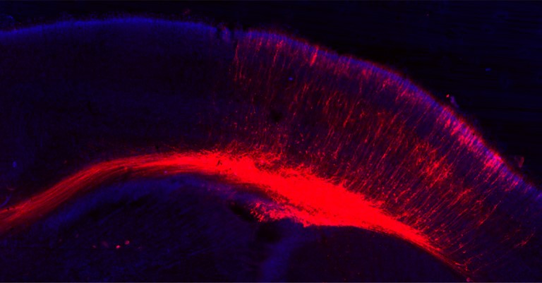 NanoTag 공식대리점 관련 업무대행/수입 전문취급점