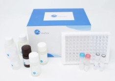 Human HS-TNF-α(High sensitive Tumor Necrosis Factor Alpha)Accquant ELISA Kit