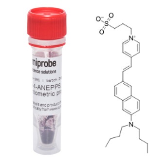 Di-4-ANEPPS, potentiometric probe