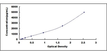 CK-BB ELISA kit (Mouse) (OKCD07926)