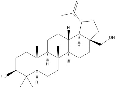 Aktin Chemicals 한국공식대리점