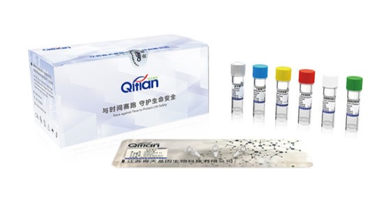 RAA Nucleic Acid Amplification Kit (Electrophoresis Method)