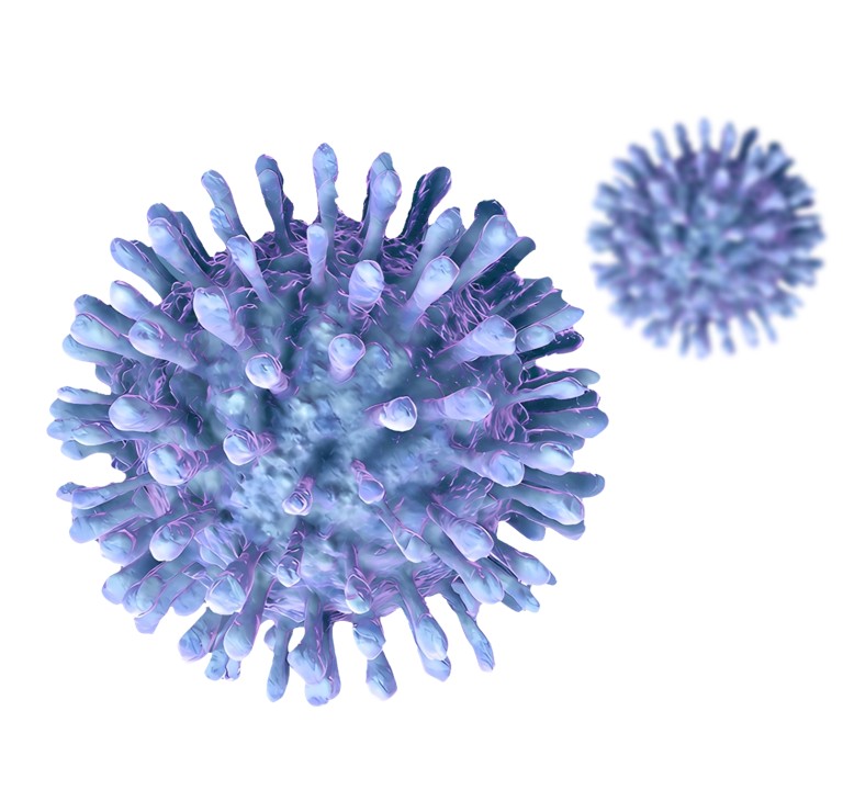 Express Gene-to-Lentivirus Service