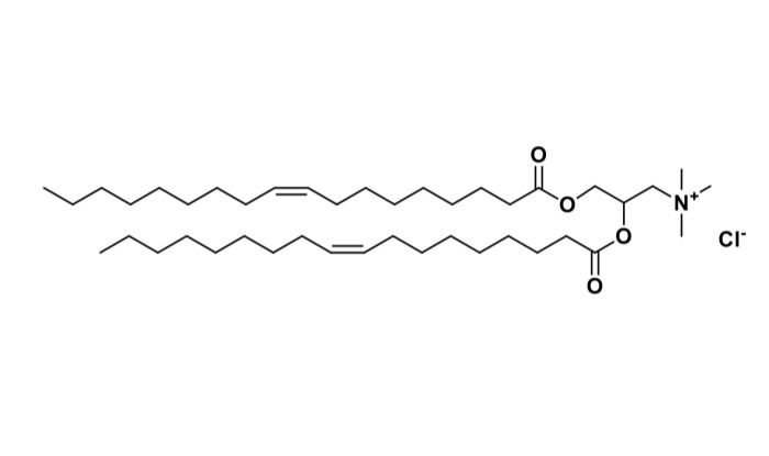 Polysciences 한국공식대리점