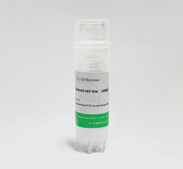 C1GALT1C1 Knockout cell line (A549)