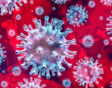 BBI Solutions 공식대리점 관련 업무대행/수입 전문취급점