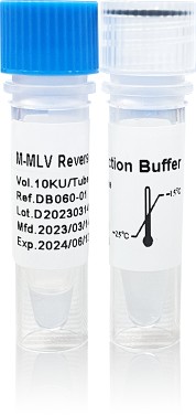 M-MLV Reverse Transcriptase