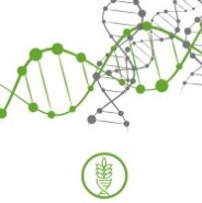 Diatheva 공식대리점 관련 업무대행/수입 전문취급점