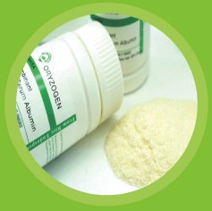 OsrHSA | Recombinant Human Serum Albumin